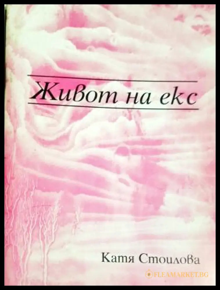Живот на екс (312605261225) - Катя Стоилова - Книга