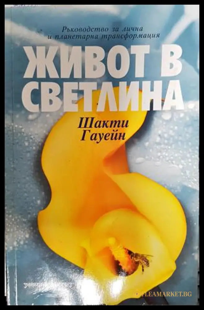 Живот в светлина - Шакти Гауейн