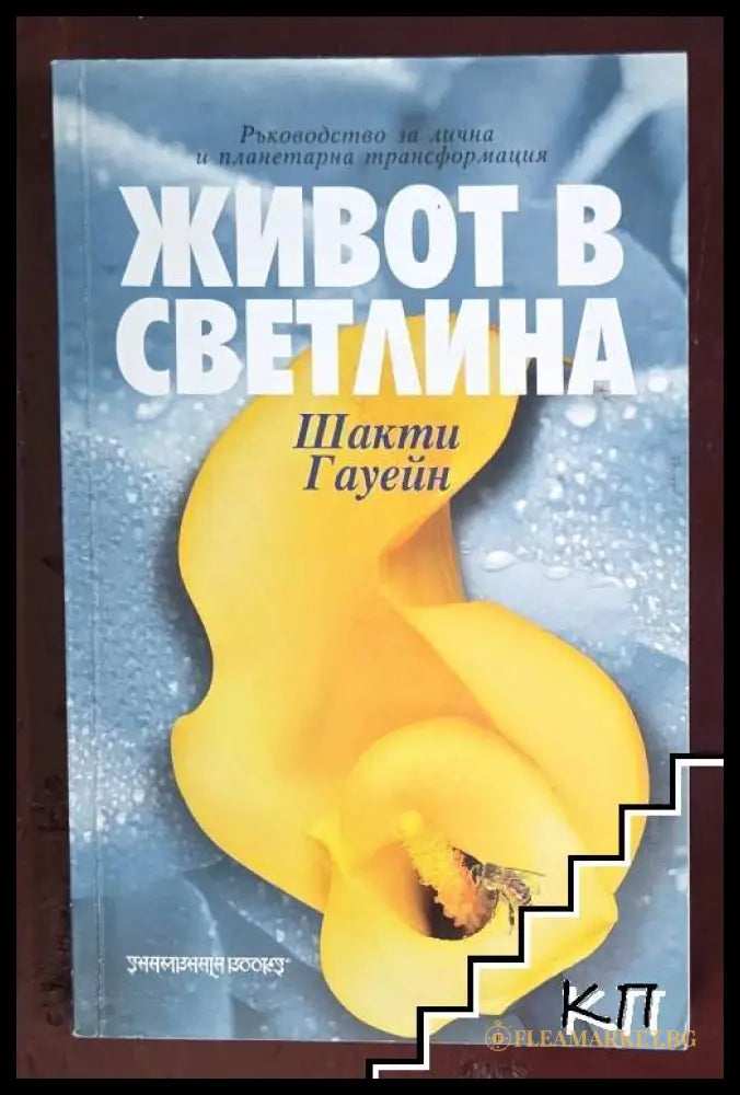 Корица на книгата Живот в светлина от Шакти Гауейн