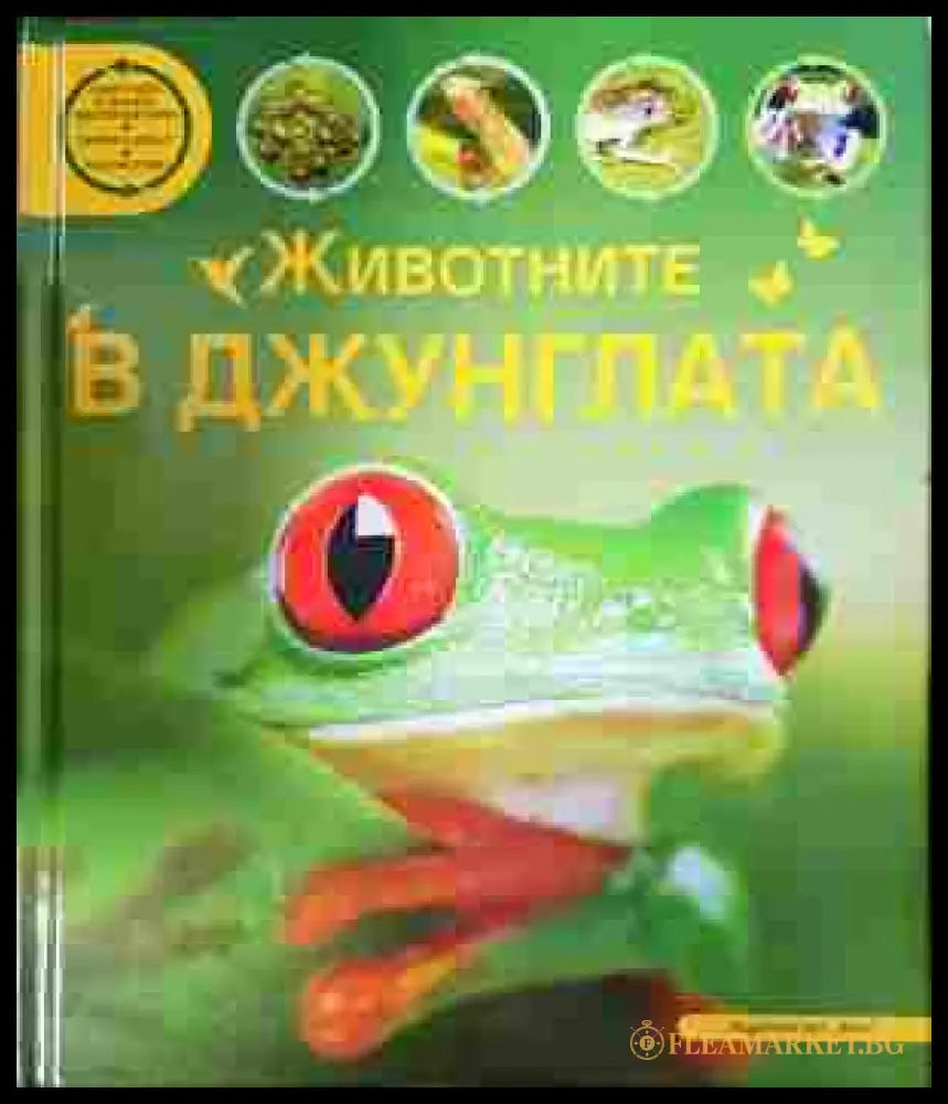 Животните в джунглата (352607261814) - Сийн Калъри - Книга