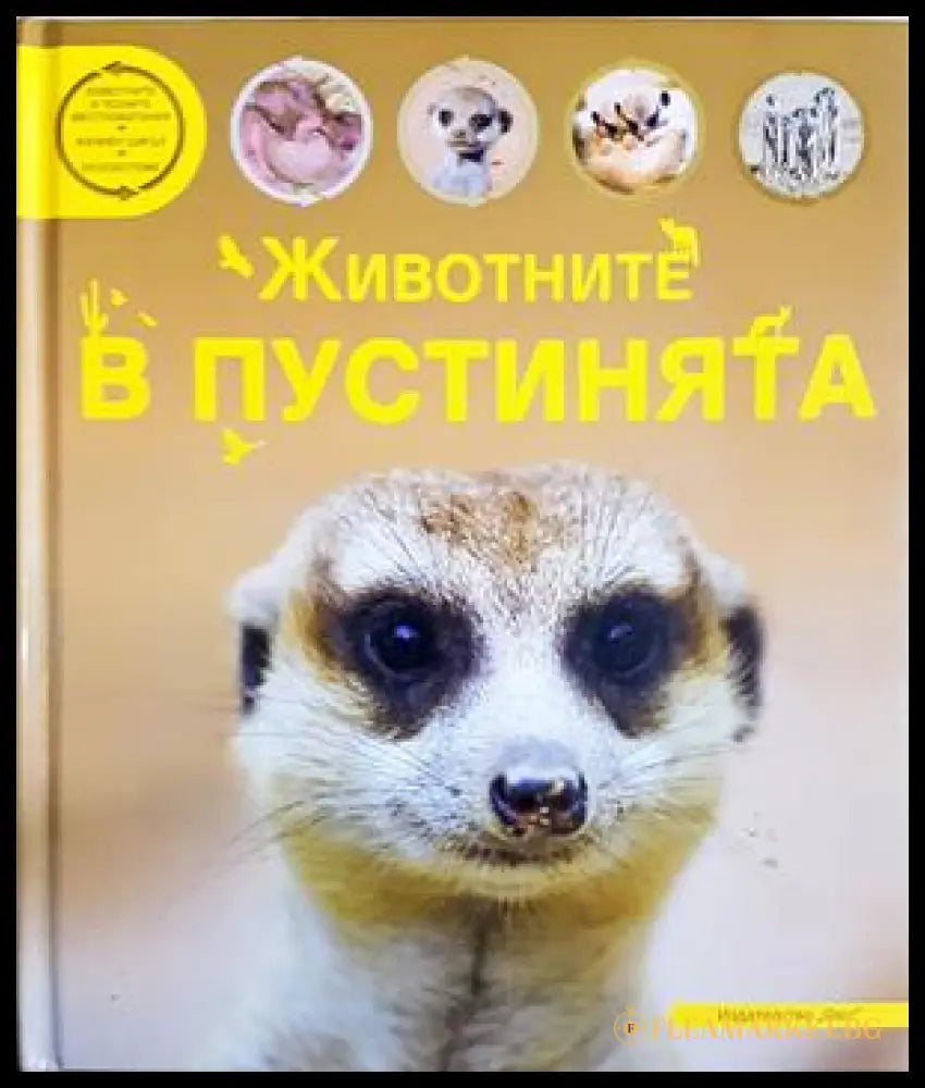 Животните в пустинята (242406261134) - Колектив - Книга