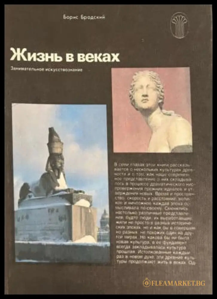 Жизнь в веках (331909261633) - Борис Бродский - Книга