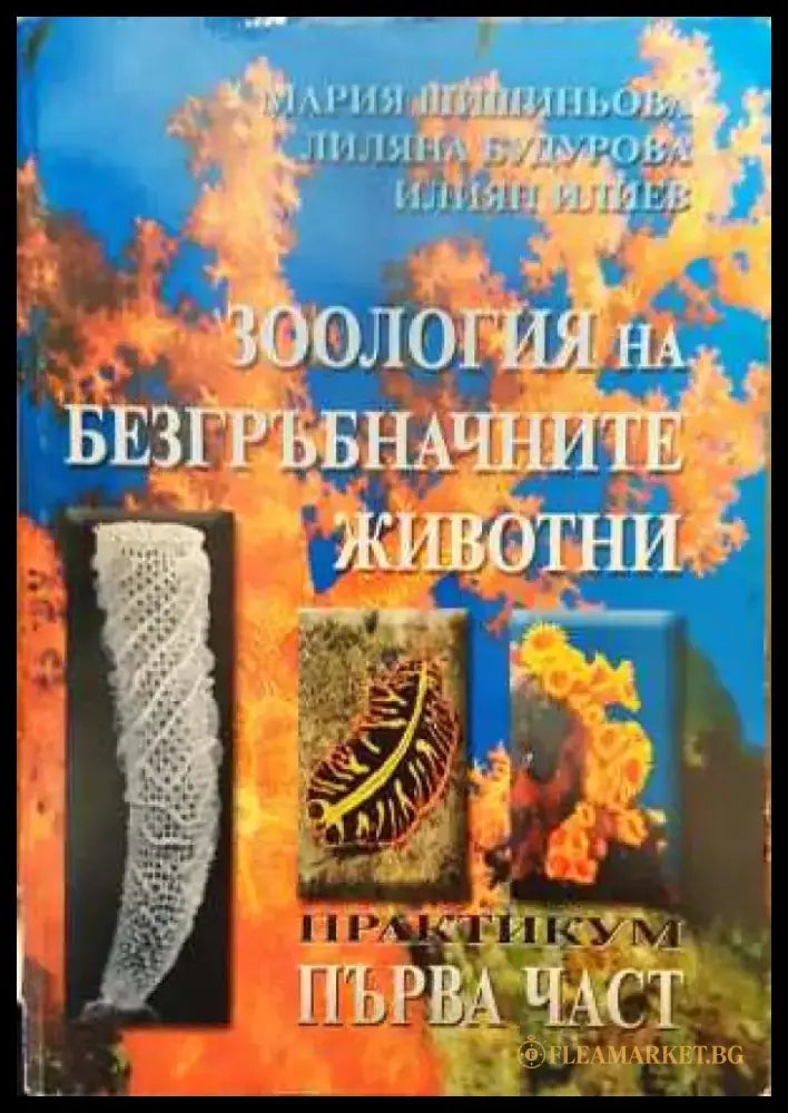 Зоология на безгръбначните животни - Книга