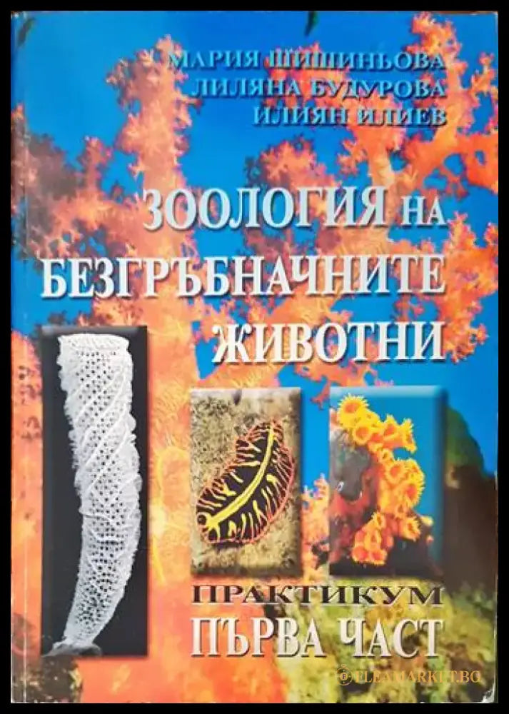 Зоология на гръбначните животни. Първа част - Книги