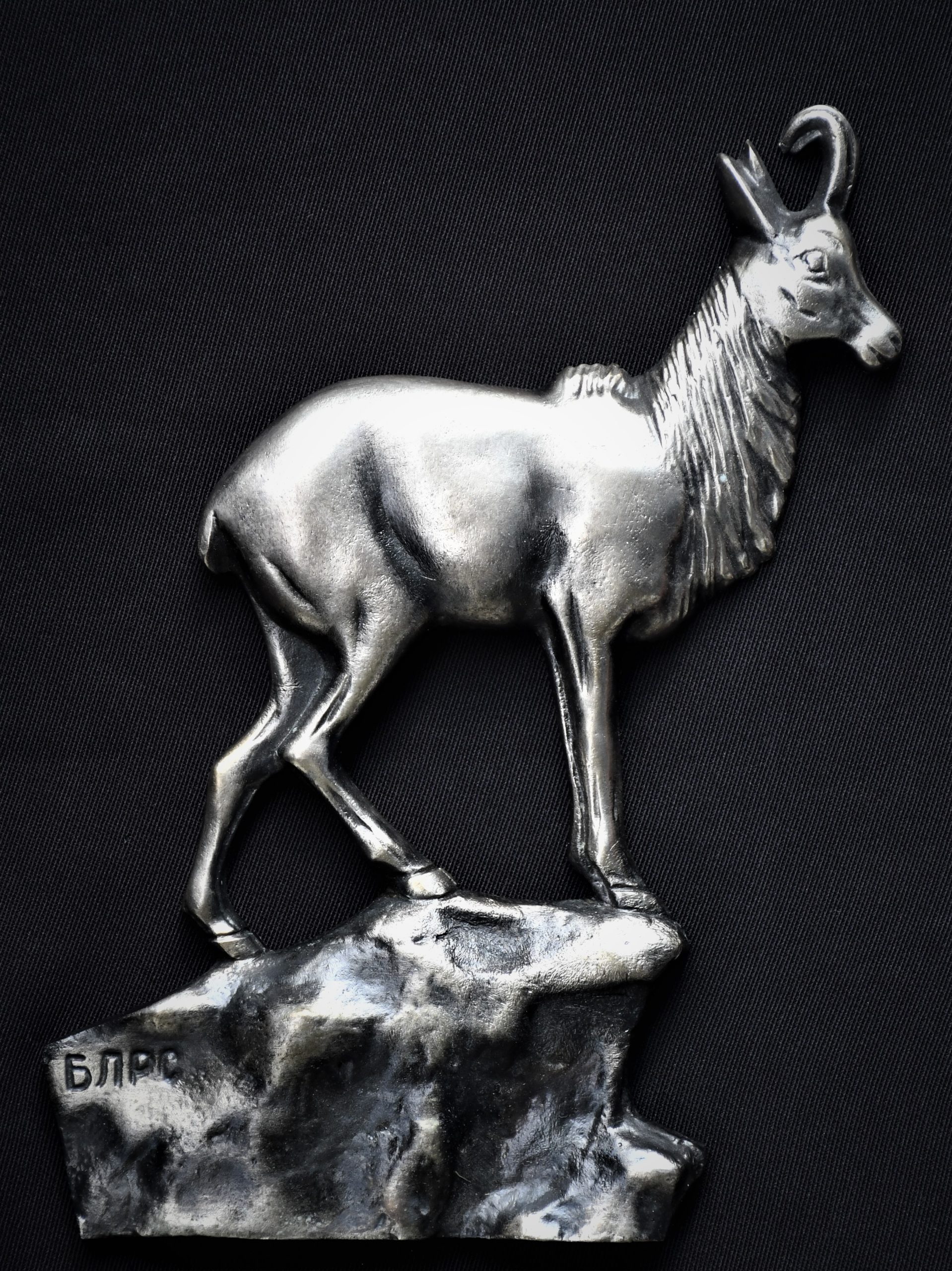 VIP подарък на БЛРС