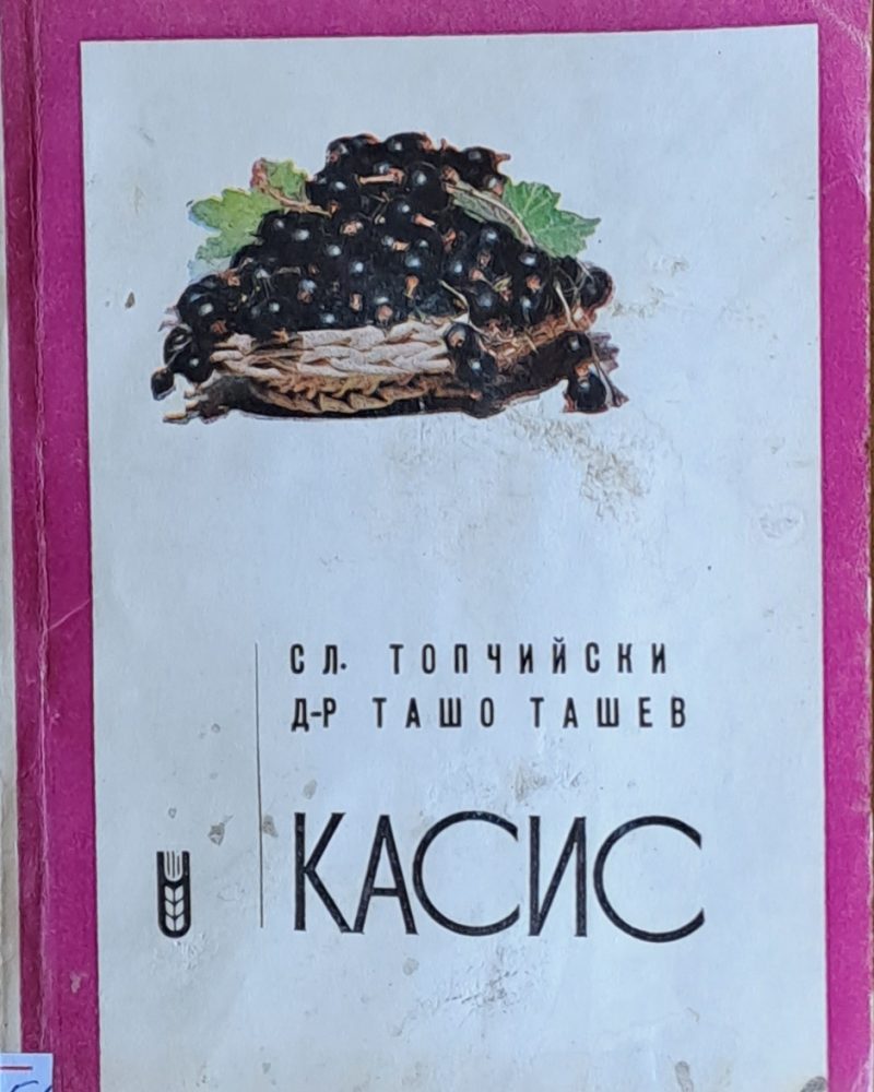 Касис