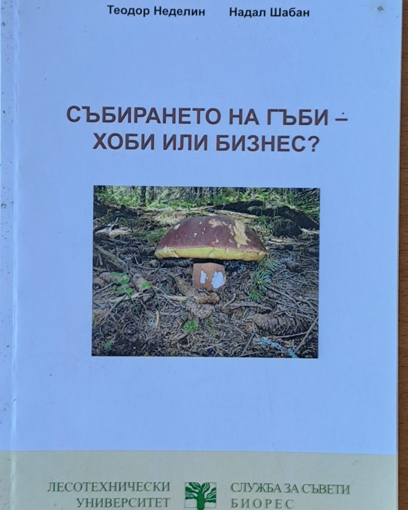 Събирането на гъби - хоби или бизнес?