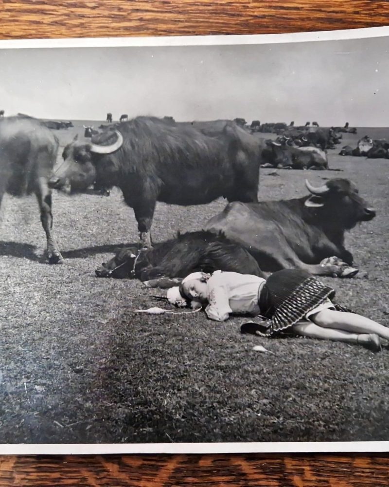 Снимка - Невена Дочева 1933