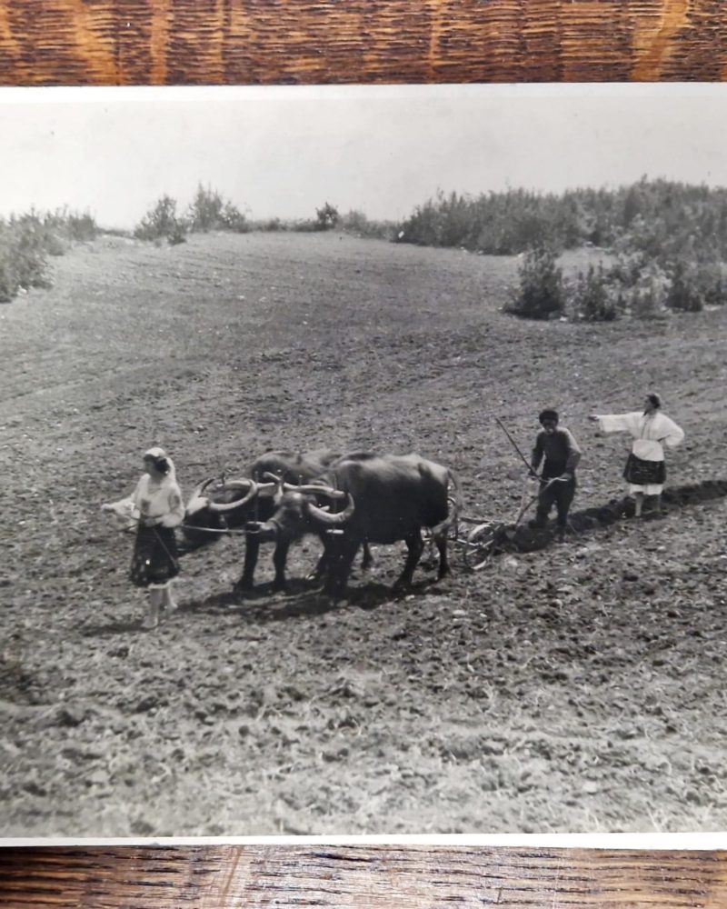 Плакат - Невена Дочева 1933