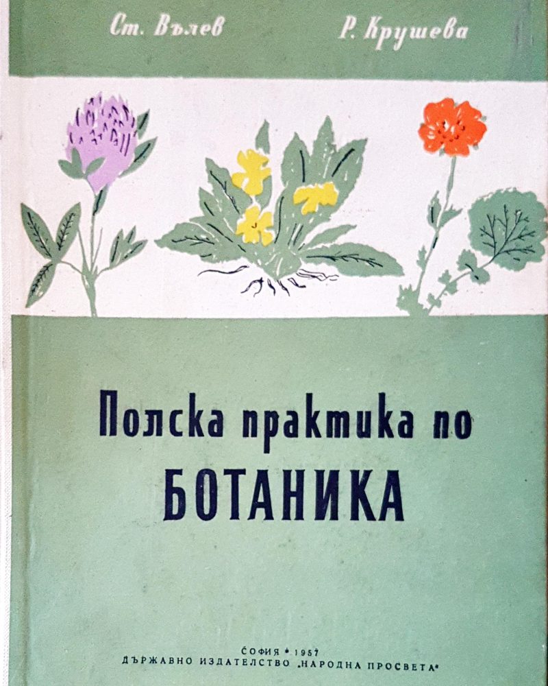 Плоска практика по ботаника