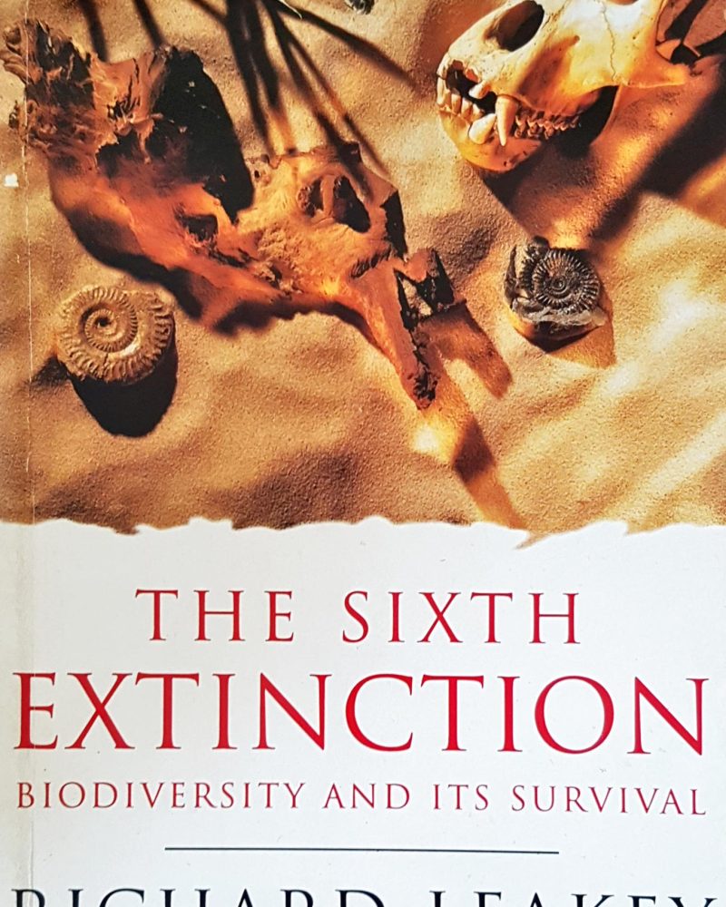 The sixth extinction