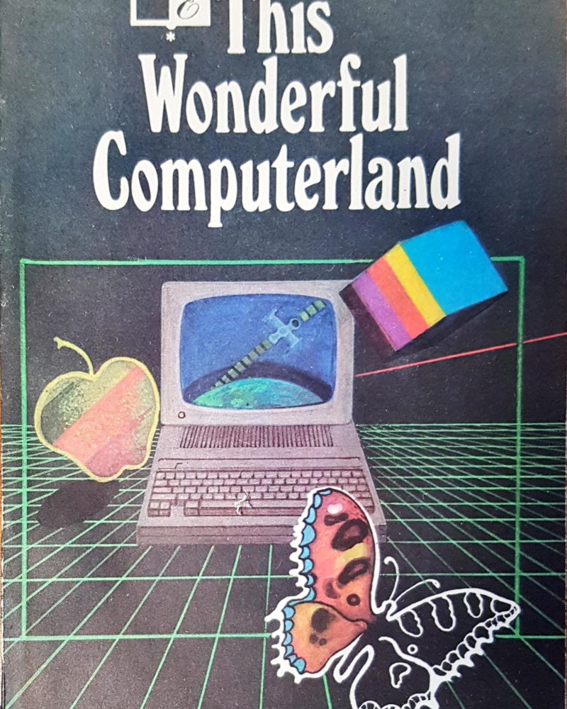 This Wonderful Computerland
