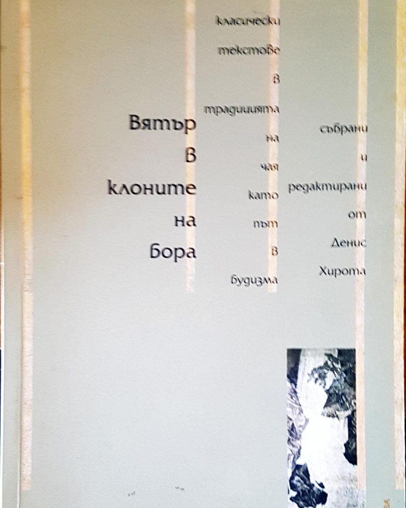 Вятър в клоните на бора