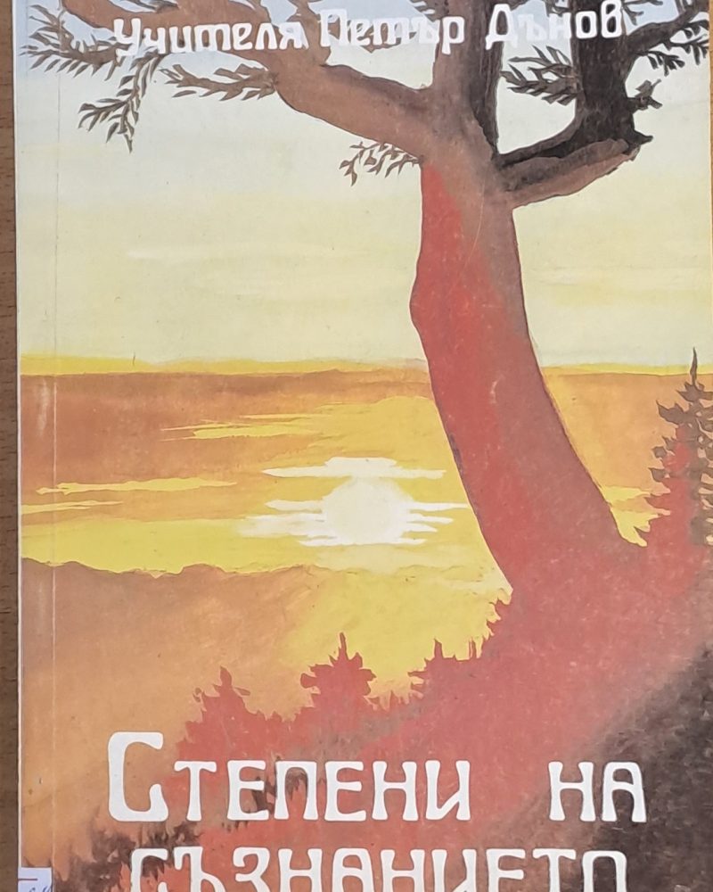 Степени на съзнанието