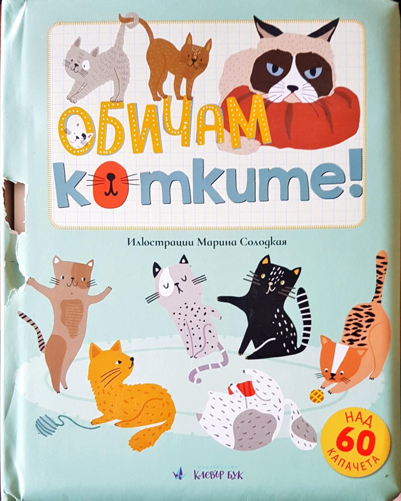 Обичам котките