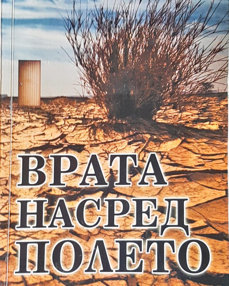 Врата насред полето