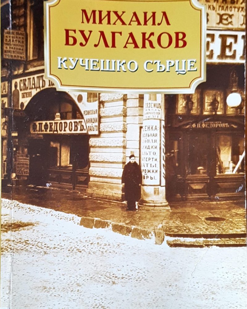 Кучешко сърце
