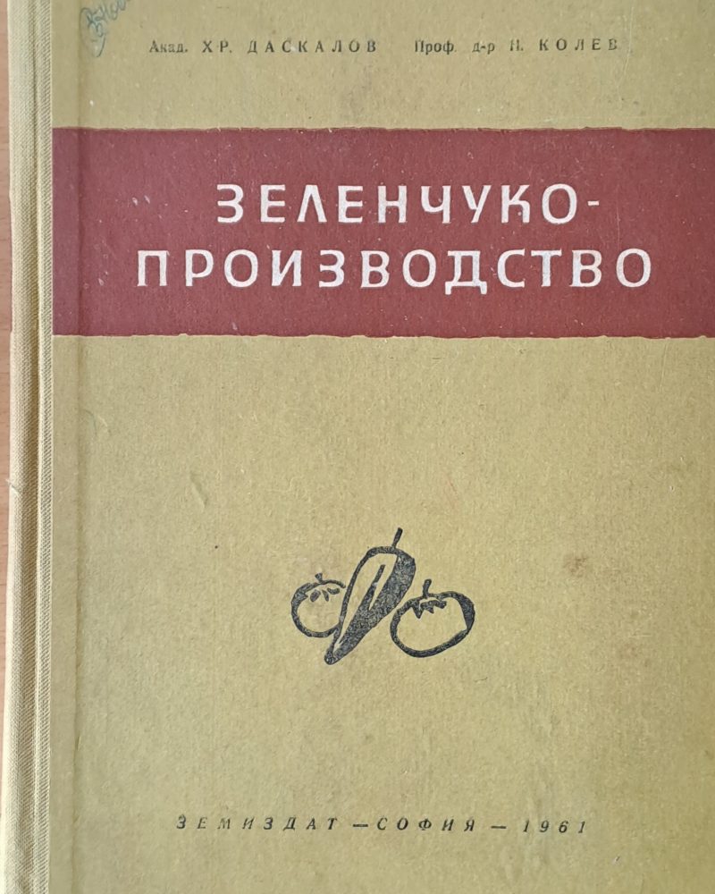 Зеленчукопроизводство
