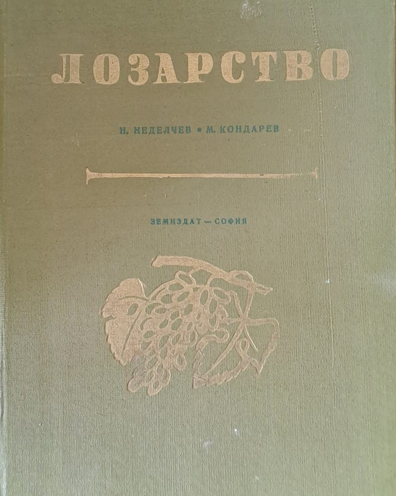 Лозарство