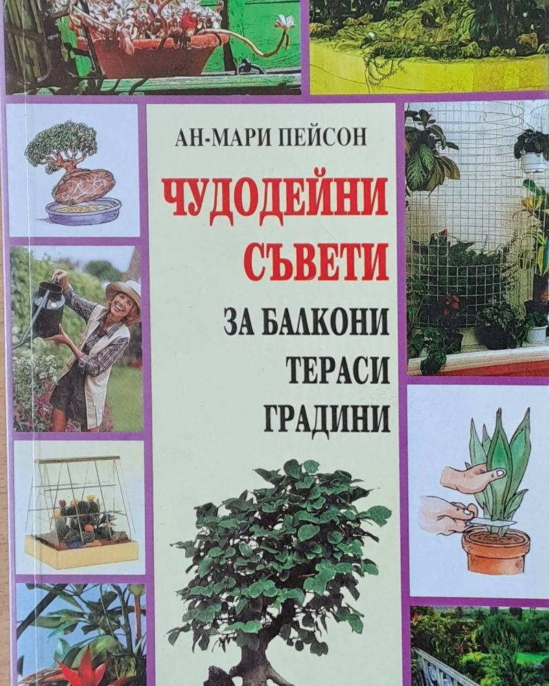 Чудодейни съвети за балкони, тераси, градини