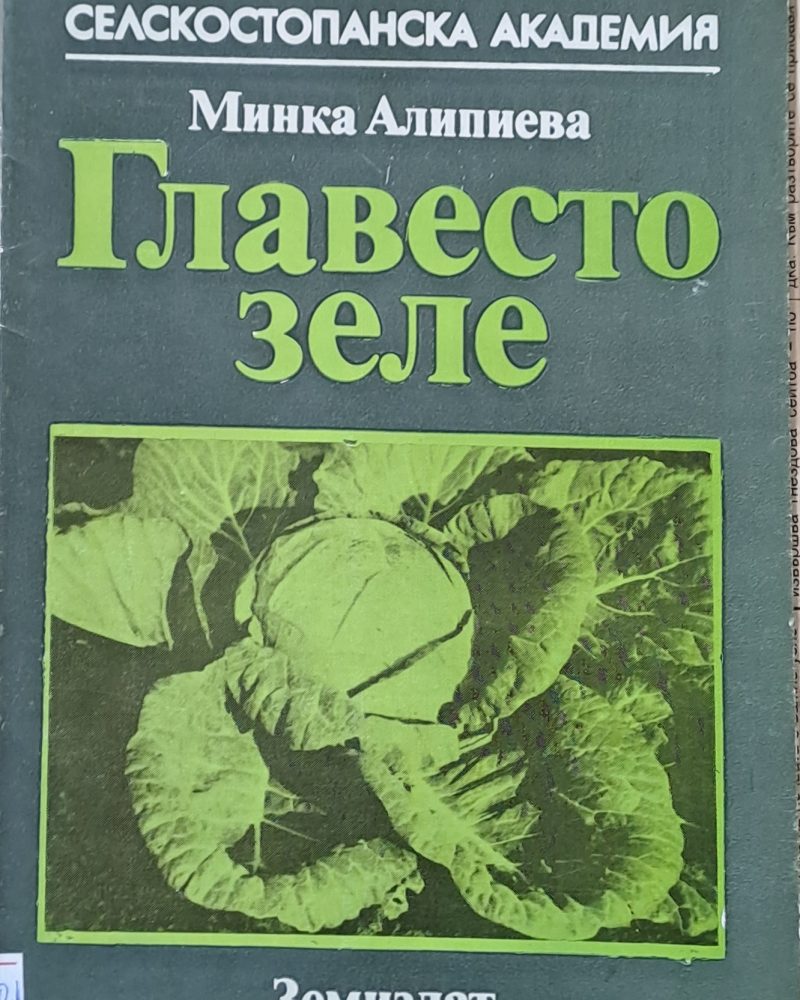 Главесто зеле