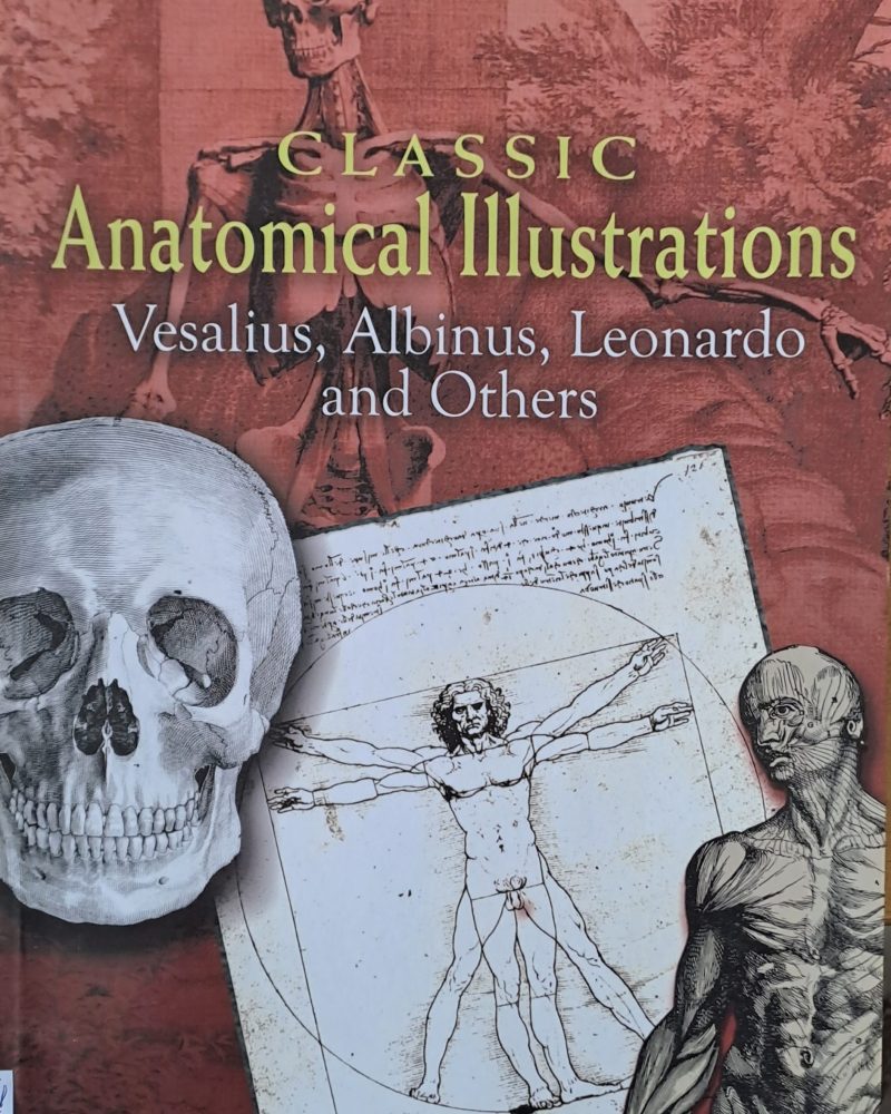 Classic Anatomical Illustrations