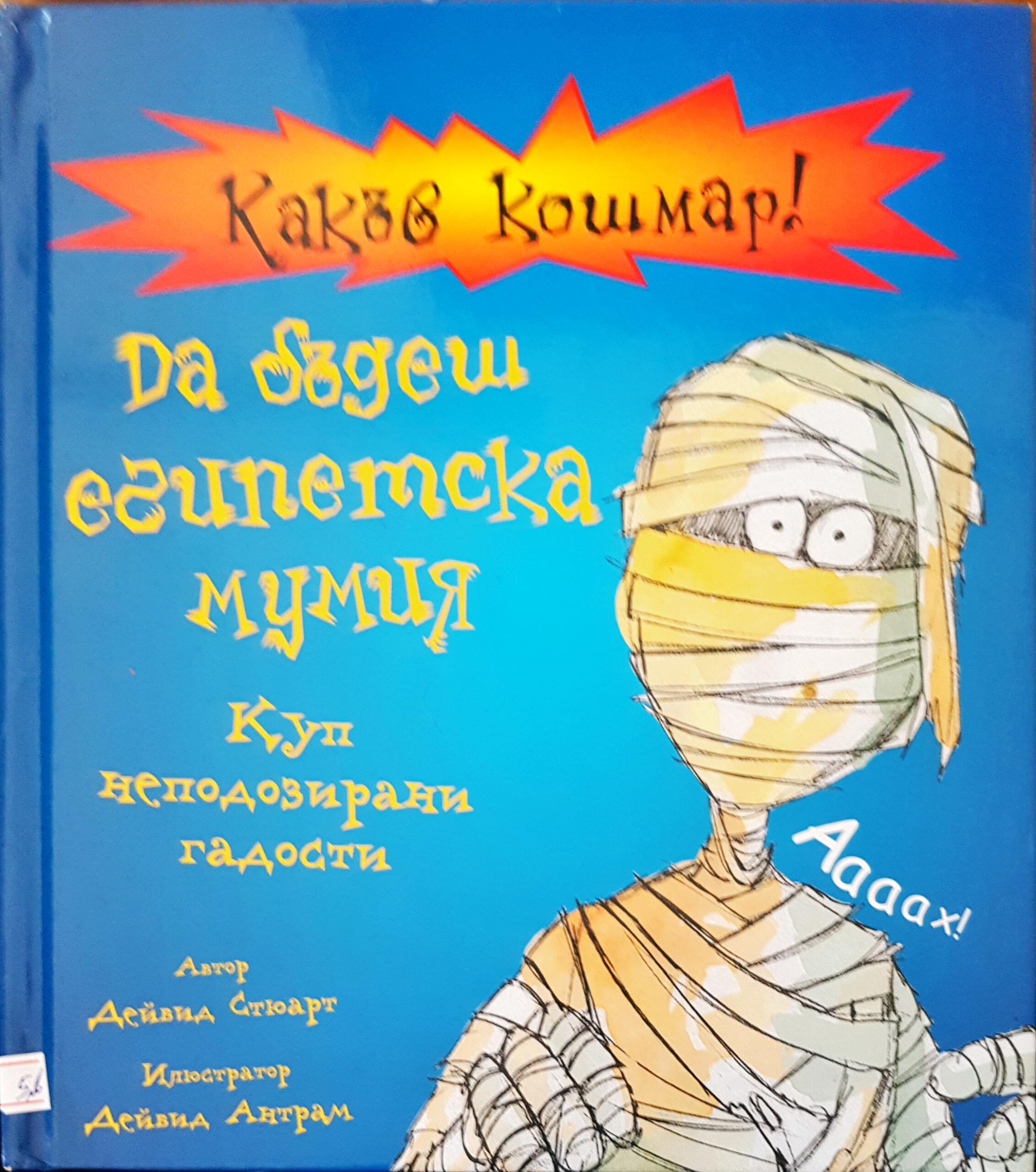 Какъв кошмар! Да бъдеш египетска мумия - Fleamarket