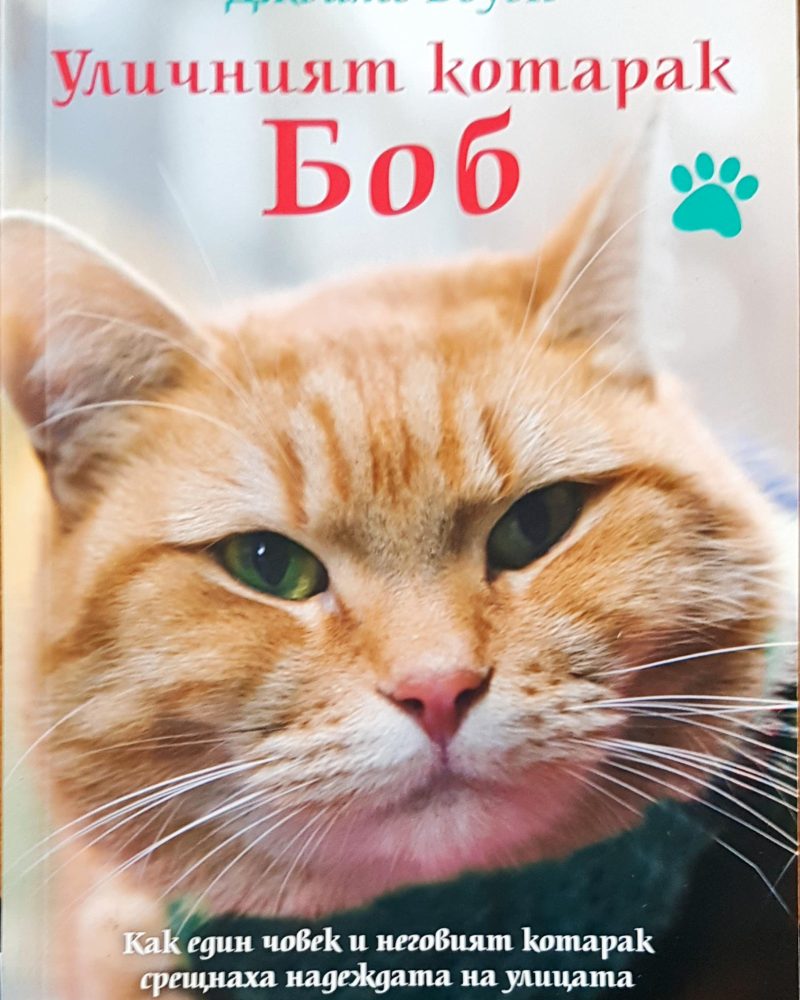 Уличният котарак Боб