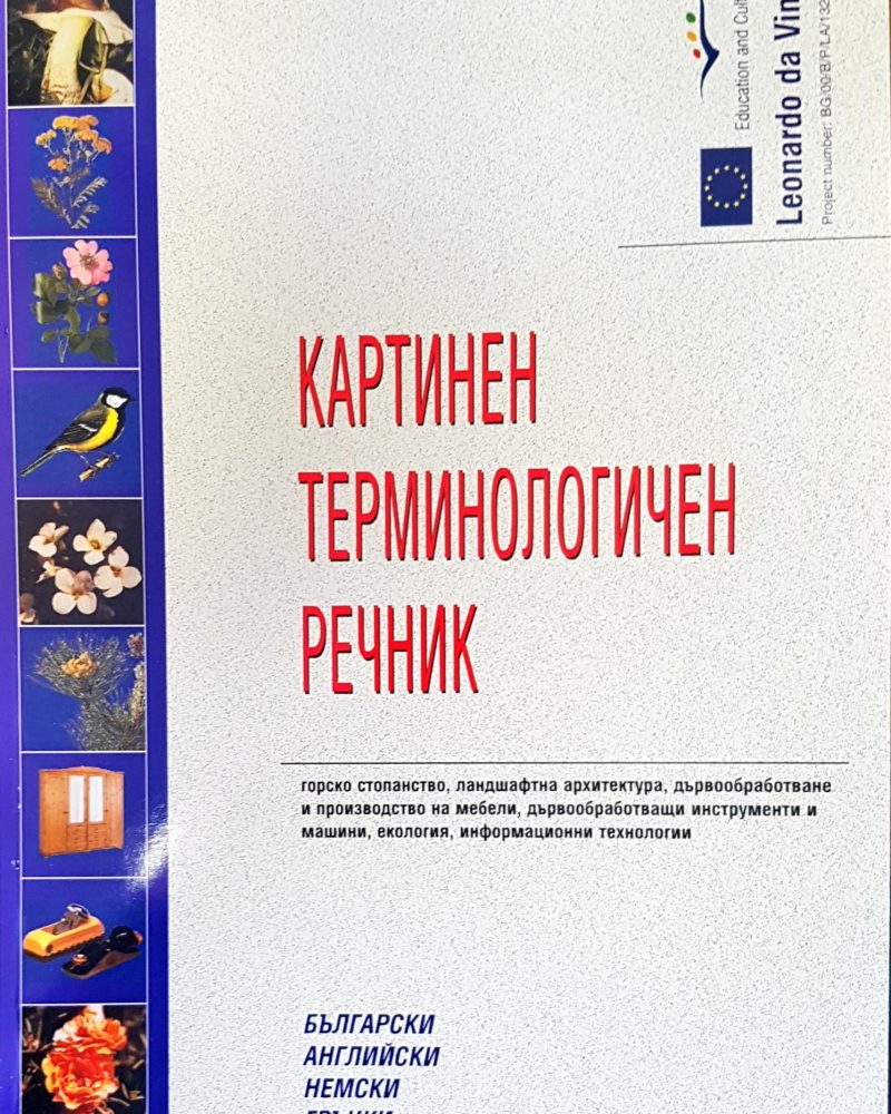 Картинен терминологичен речник