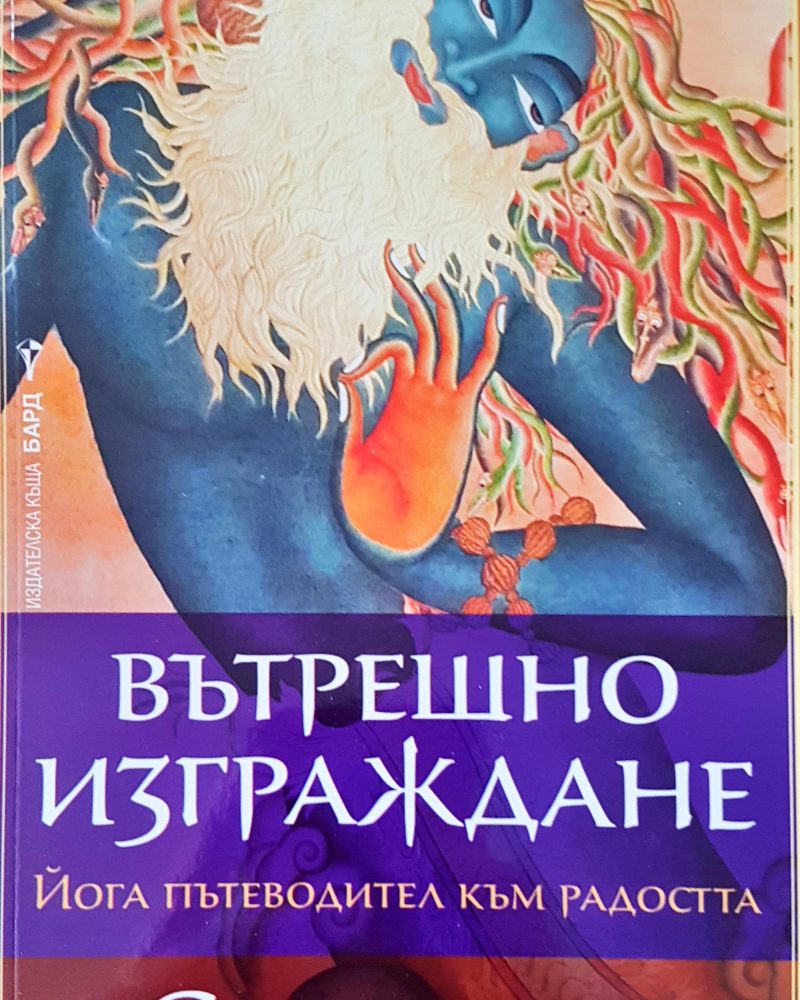Вътрешно изграждане