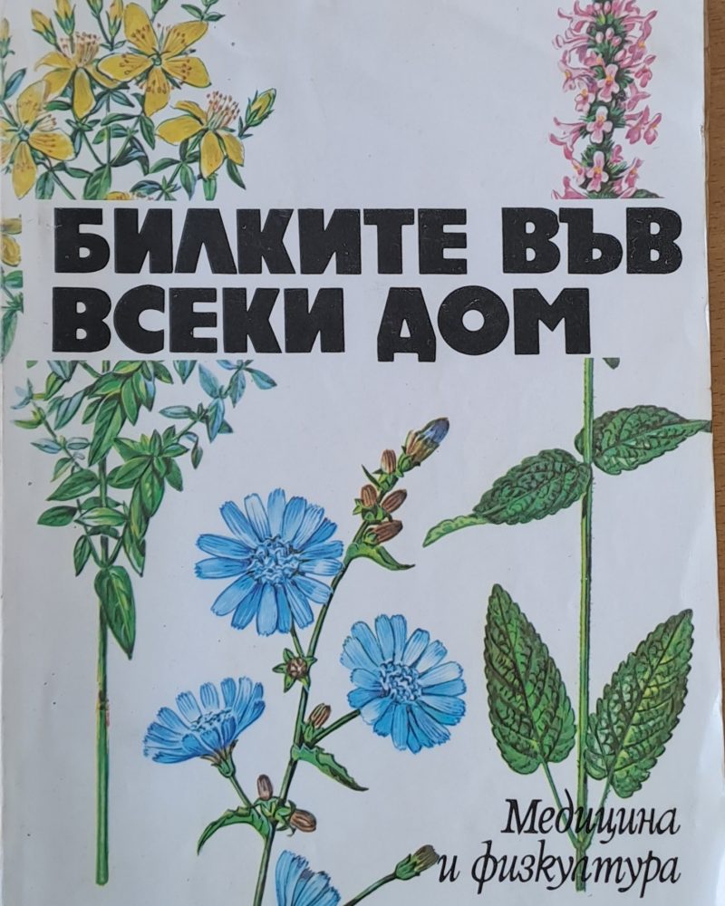 Билките във всеки дом