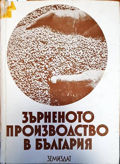 Зърненото производство в България