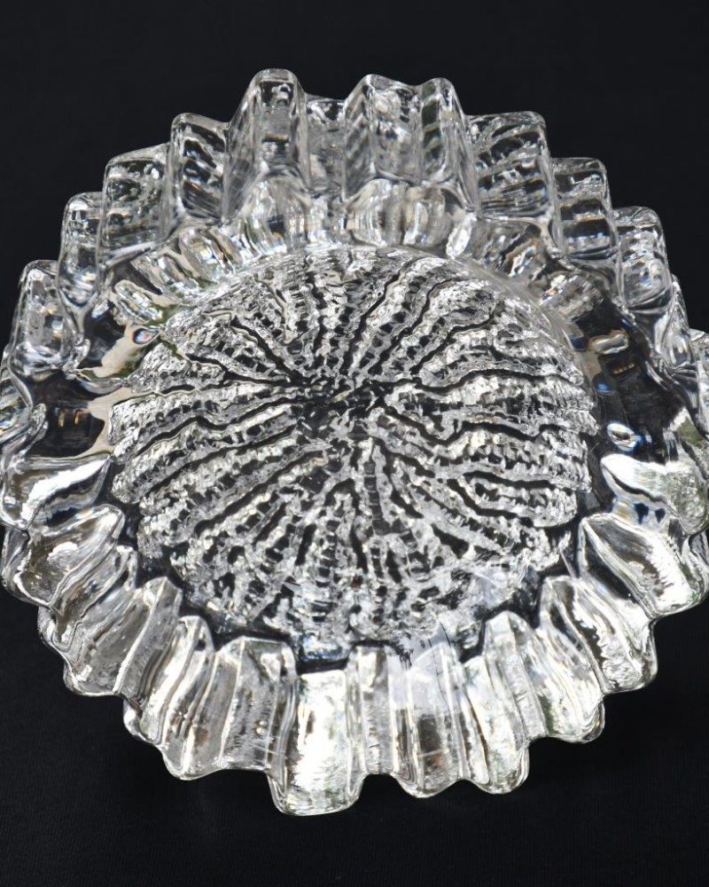 Art glass скулптура - Nautilus