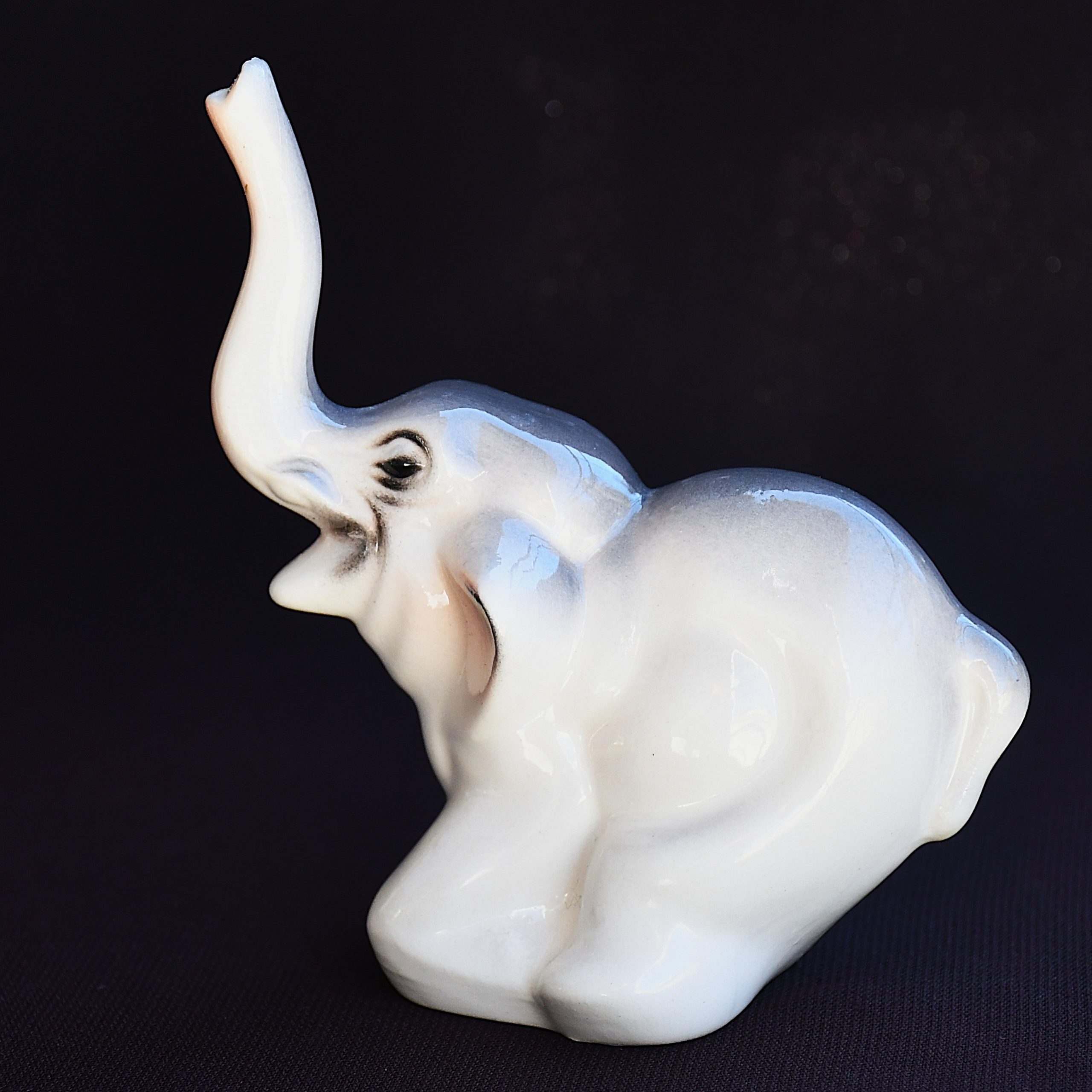 Порцеланово слонче - хубавец!